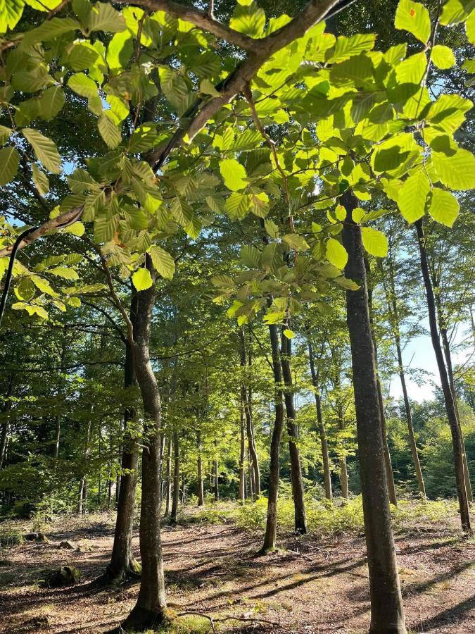 Naturglamping คริสเตียนสตัด ภายนอก รูปภาพ